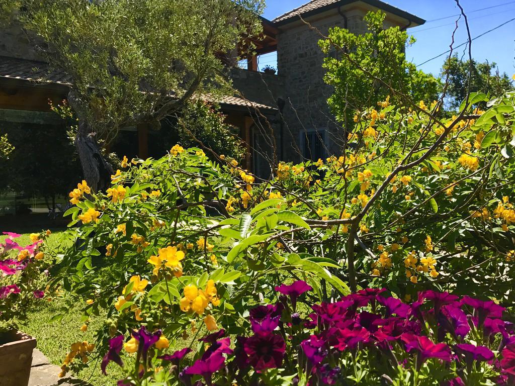 كاستيلاباتي Casa Vacanze Il Cenito المظهر الخارجي الصورة